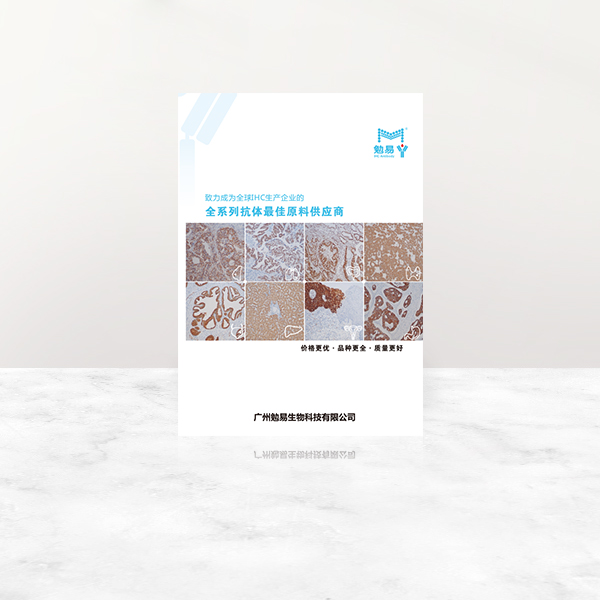 ob电竞官网企业宣传单页